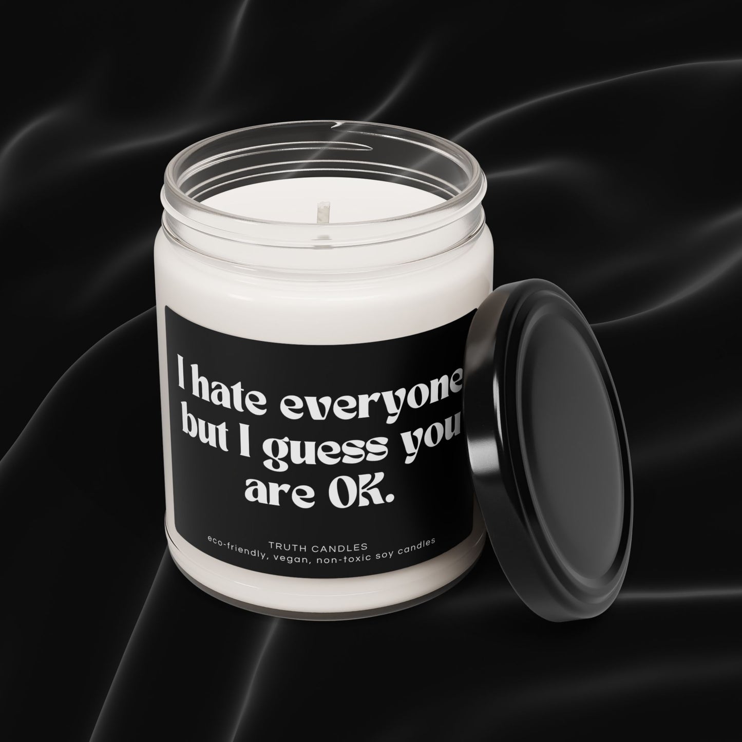 Funny Scented Candle | I hate everyone but I guess you are OK